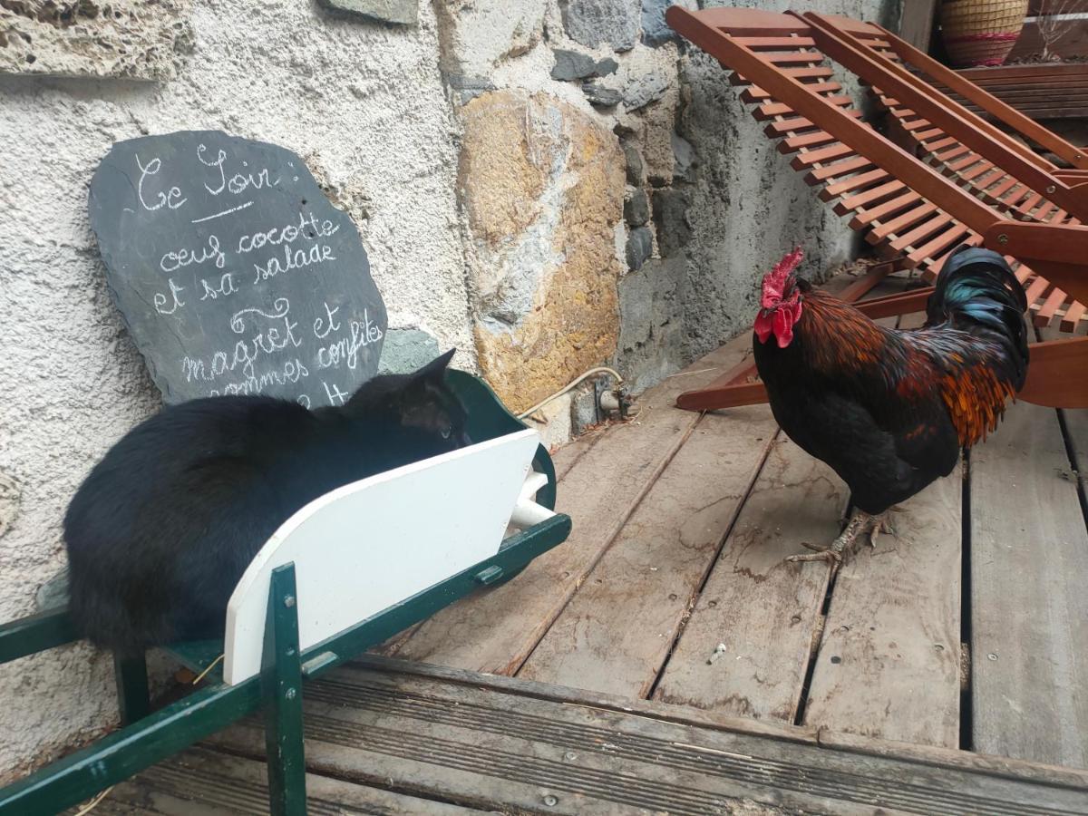 Chambres D'Hotes Les Chatougoulis Les Bordes-sur-Lez Luaran gambar